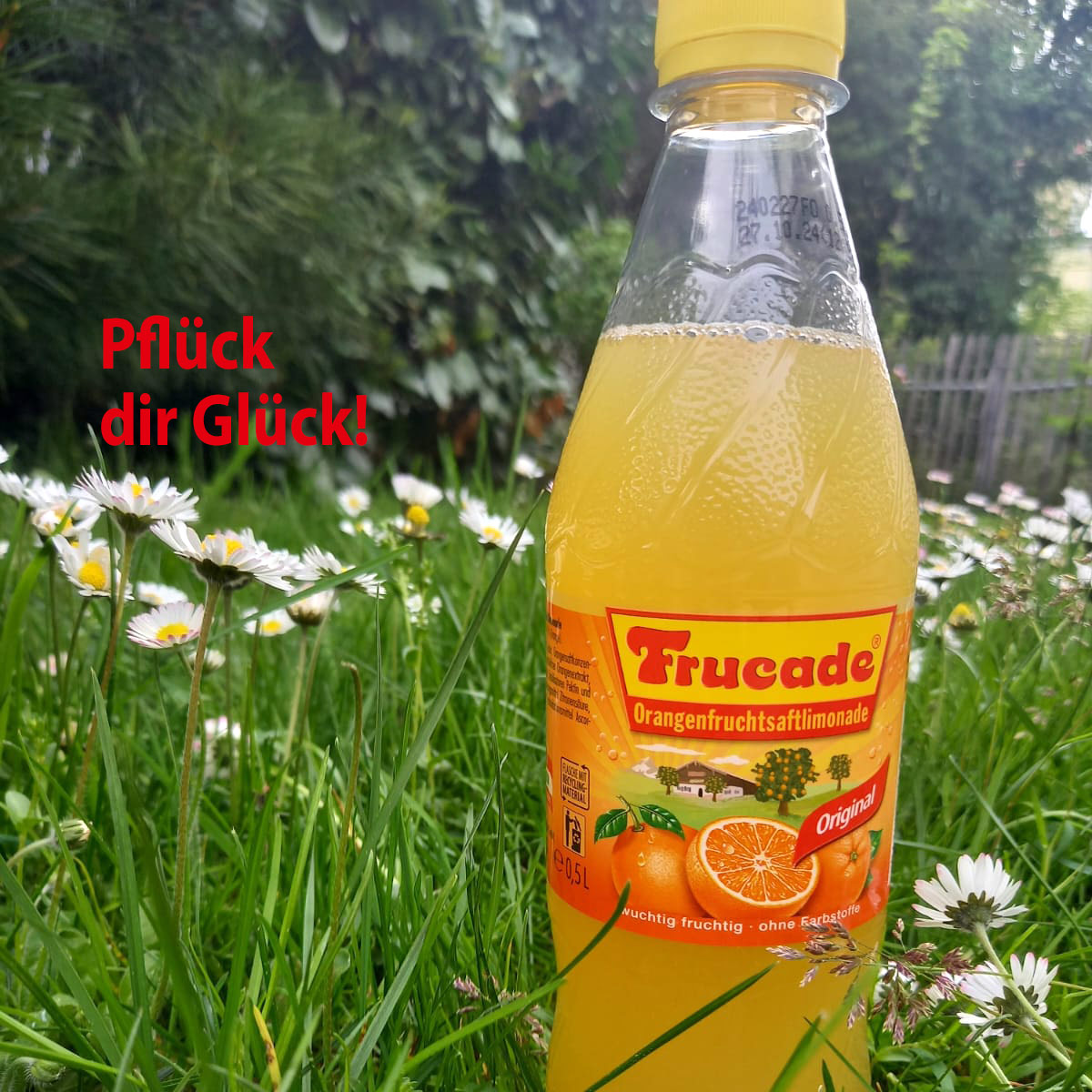 FRUCADE Glück